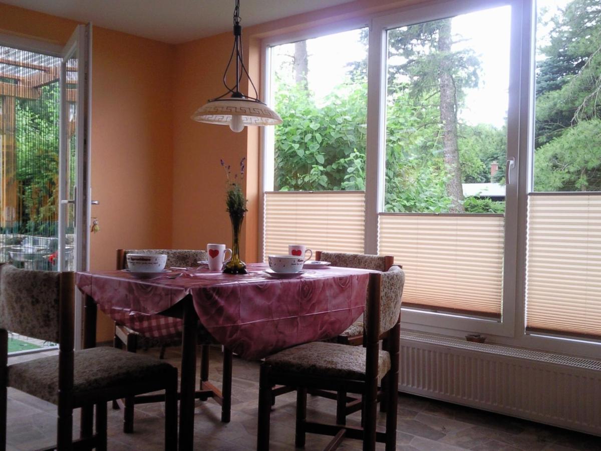 Ferienhaus Harzer Bauernhof Thale Εξωτερικό φωτογραφία