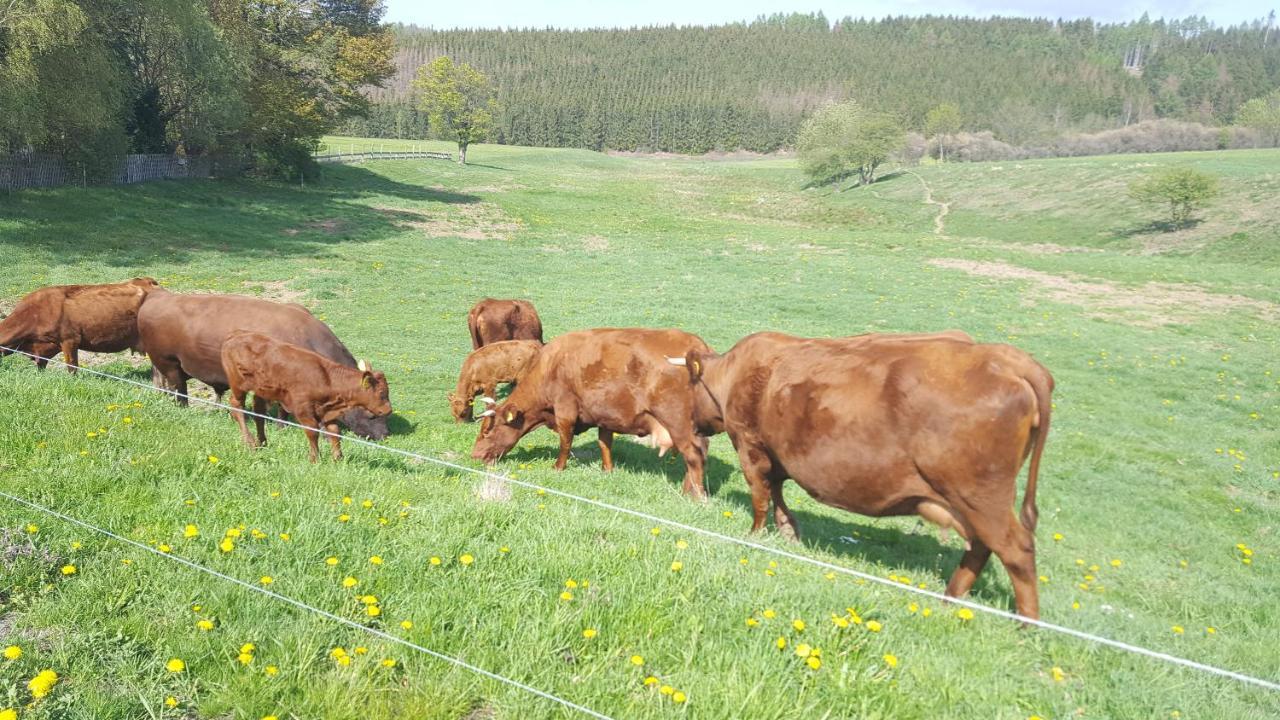 Ferienhaus Harzer Bauernhof Thale Εξωτερικό φωτογραφία